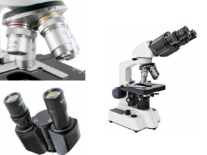 Professionele microscoop binoculair
